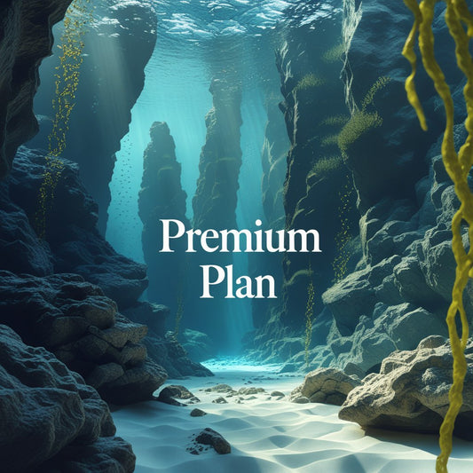 Premium Plan