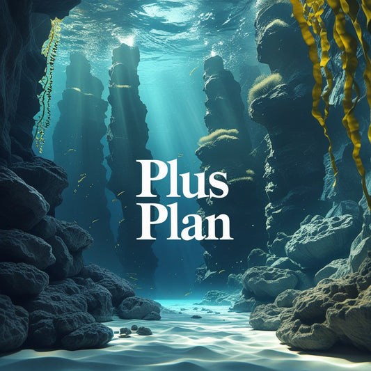 Plus Plan